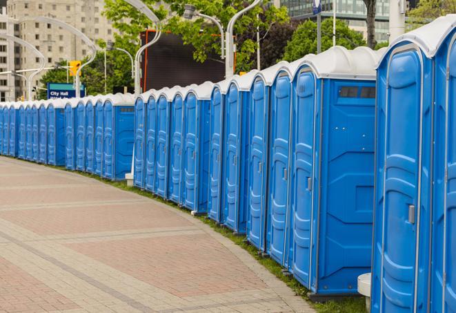 festive, colorfully decorated portable restrooms for a seasonal event in Green Valley